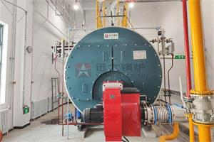 河北廊坊 WNS型4噸燃氣蒸汽鍋爐項目